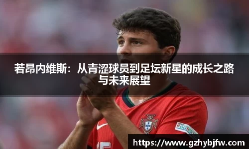 Vsports胜利因您更精彩