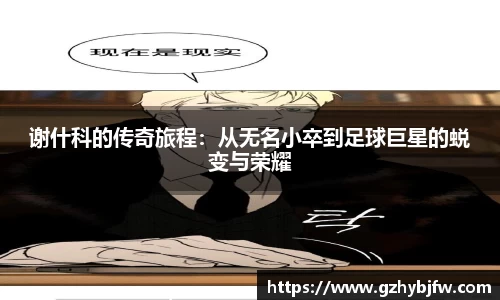 vsports体育在线官网