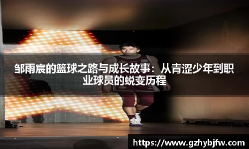 vsports体育在线官网