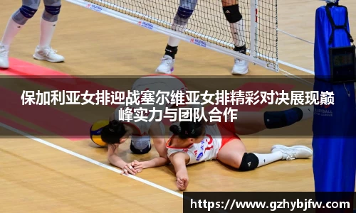 vsports体育在线官网