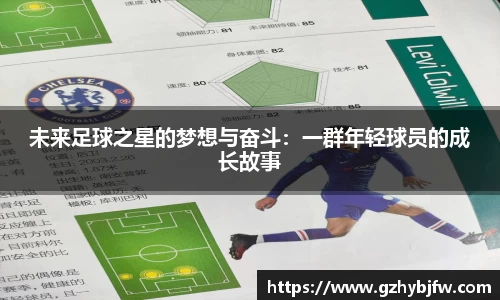 vsports体育在线官网