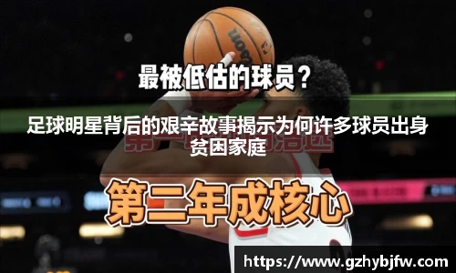 vsports体育在线官网